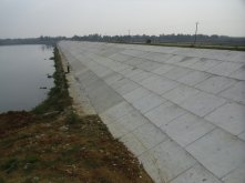 湖北水建工程案例—王坡水庫