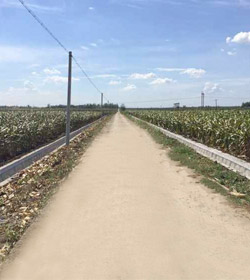 襄州區新增千億斤糧食生產能力規劃田間工程